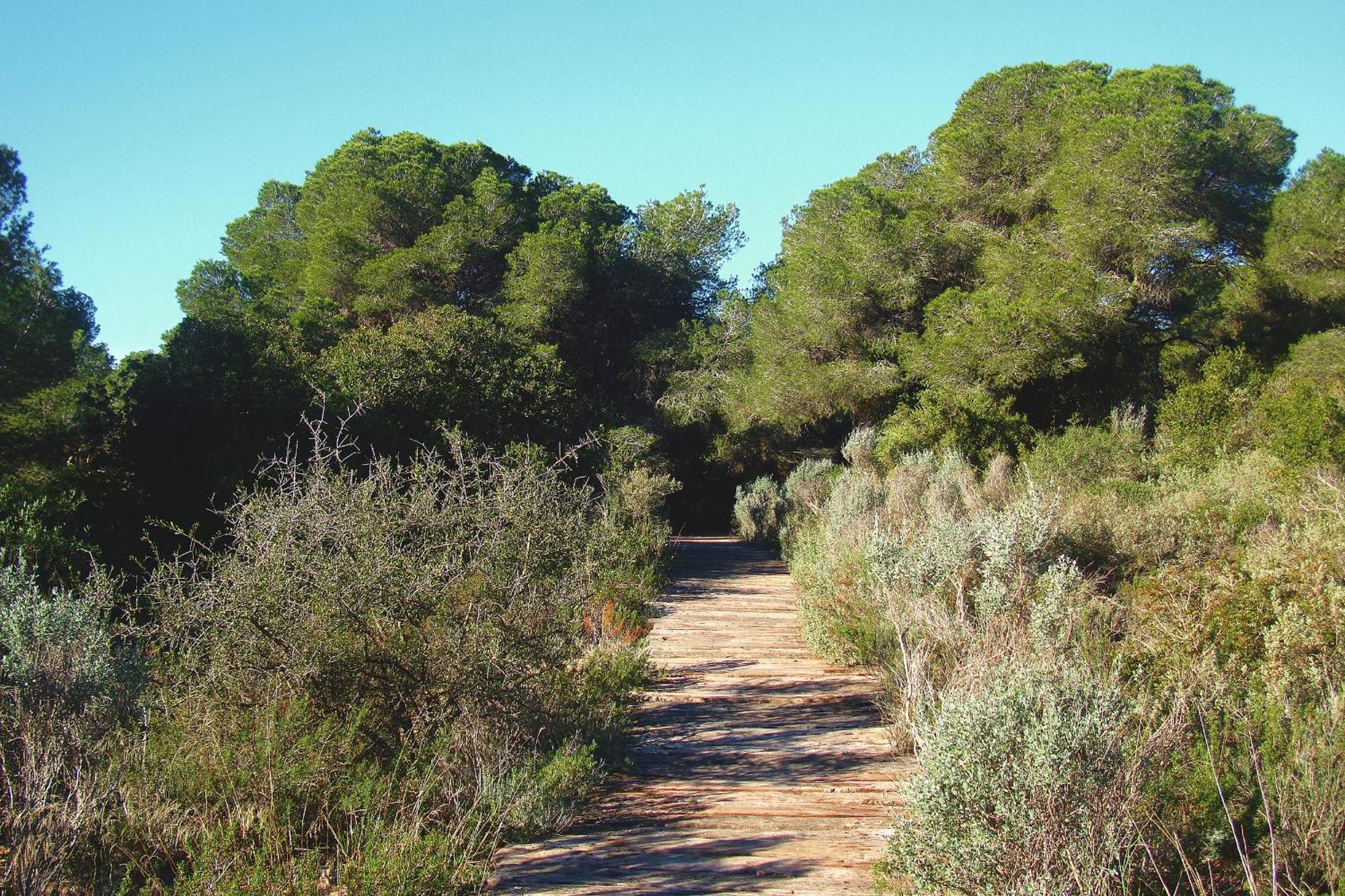 Albufera Dreams Nature Suites — Fotos 2